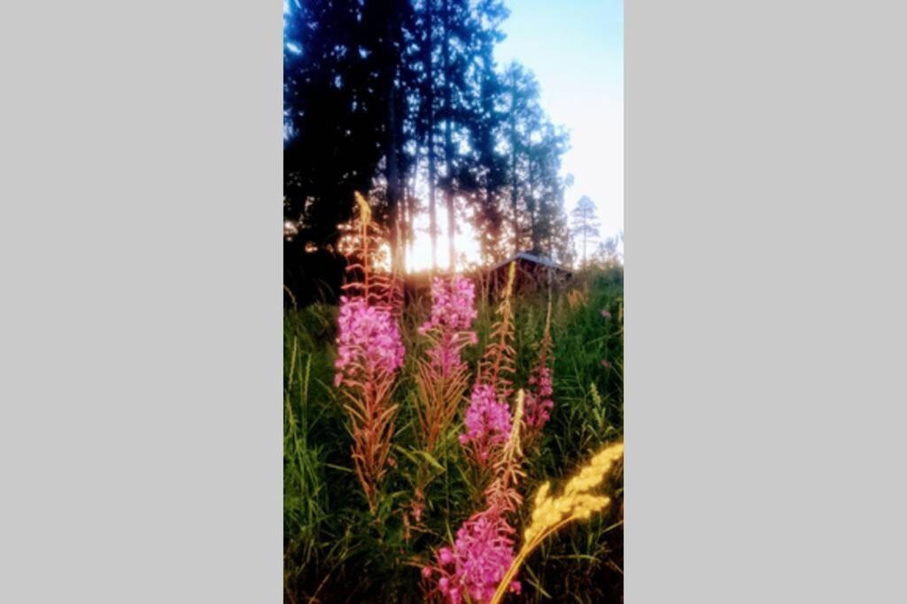 Cosy Non Smoking Cabin Close To Beach,Alnoe Sundsvall Exterior foto